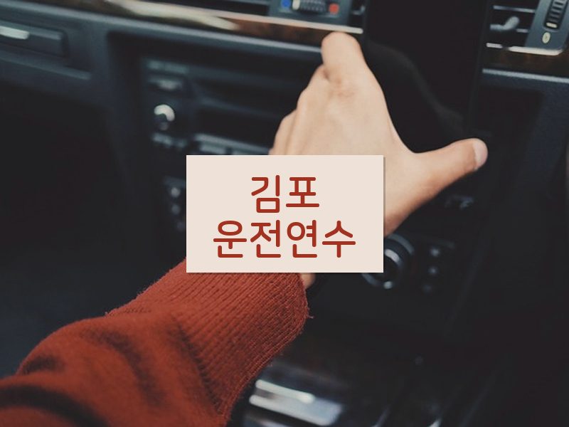 김포운전연수 후기