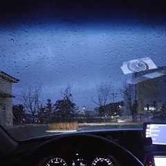 안전 팁 많이 알려줘요