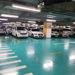 아이들 학교까지 운전 연습