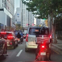 개별 맞춤 코스