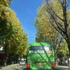 헤드라이트 사용법