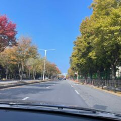 김포운전연수 자신감이 생겼어요