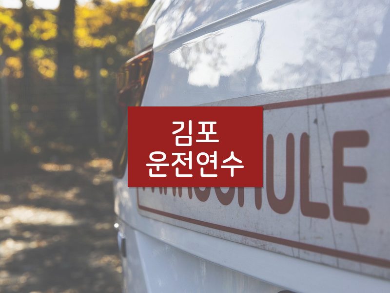김포운전연수 후기