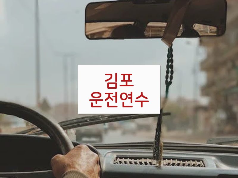 김포운전연수 후기