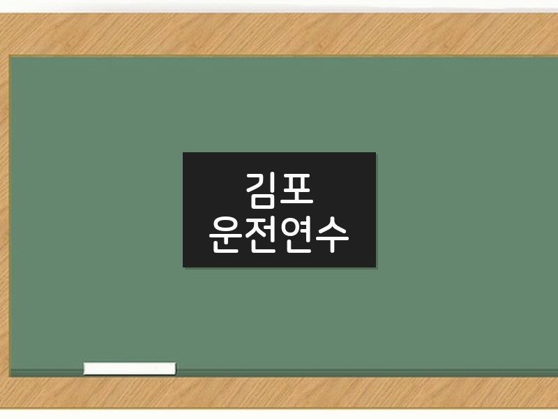 김포운전연수 후기