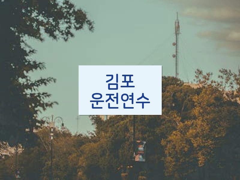 김포운전연수 후기