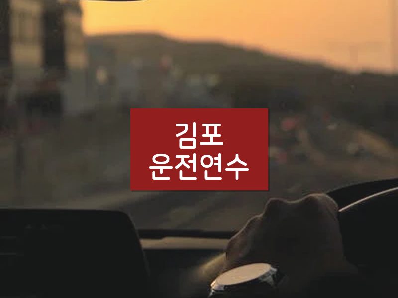 김포운전연수 후기