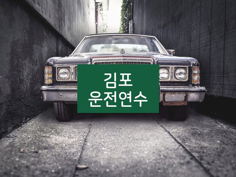 김포운전연수 후기