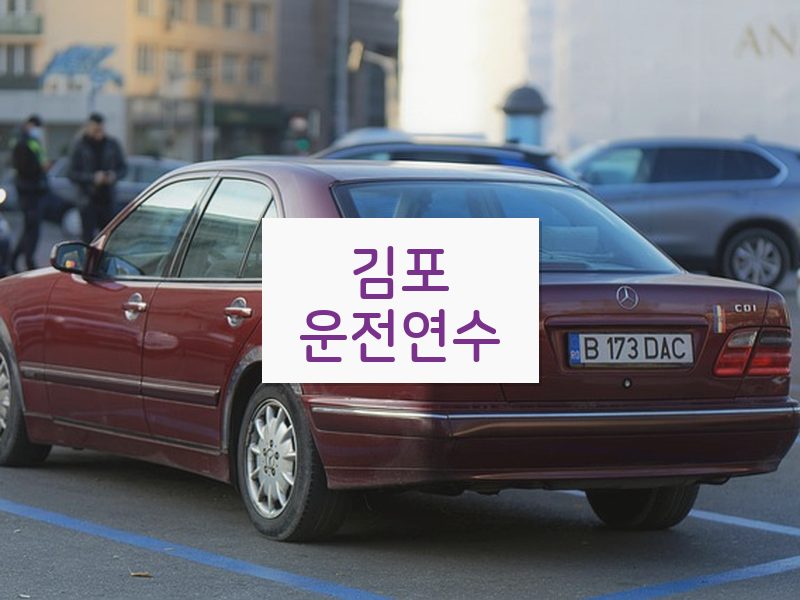 김포운전연수 후기