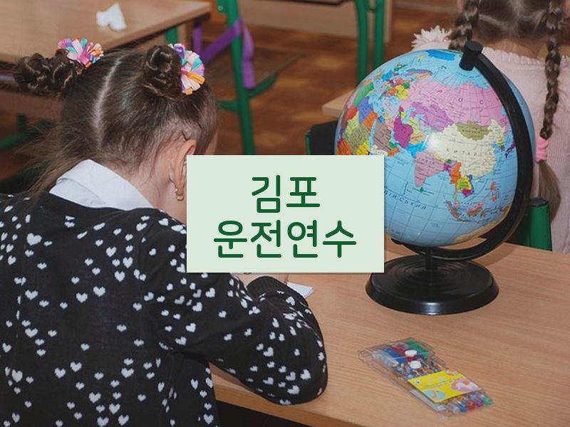 김포운전연수 후기