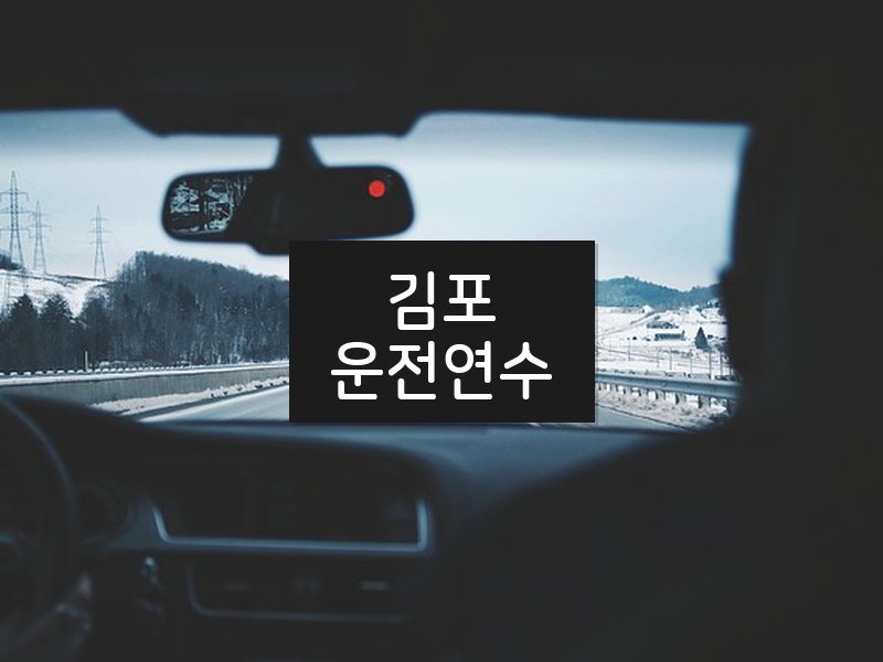 김포운전연수 후기